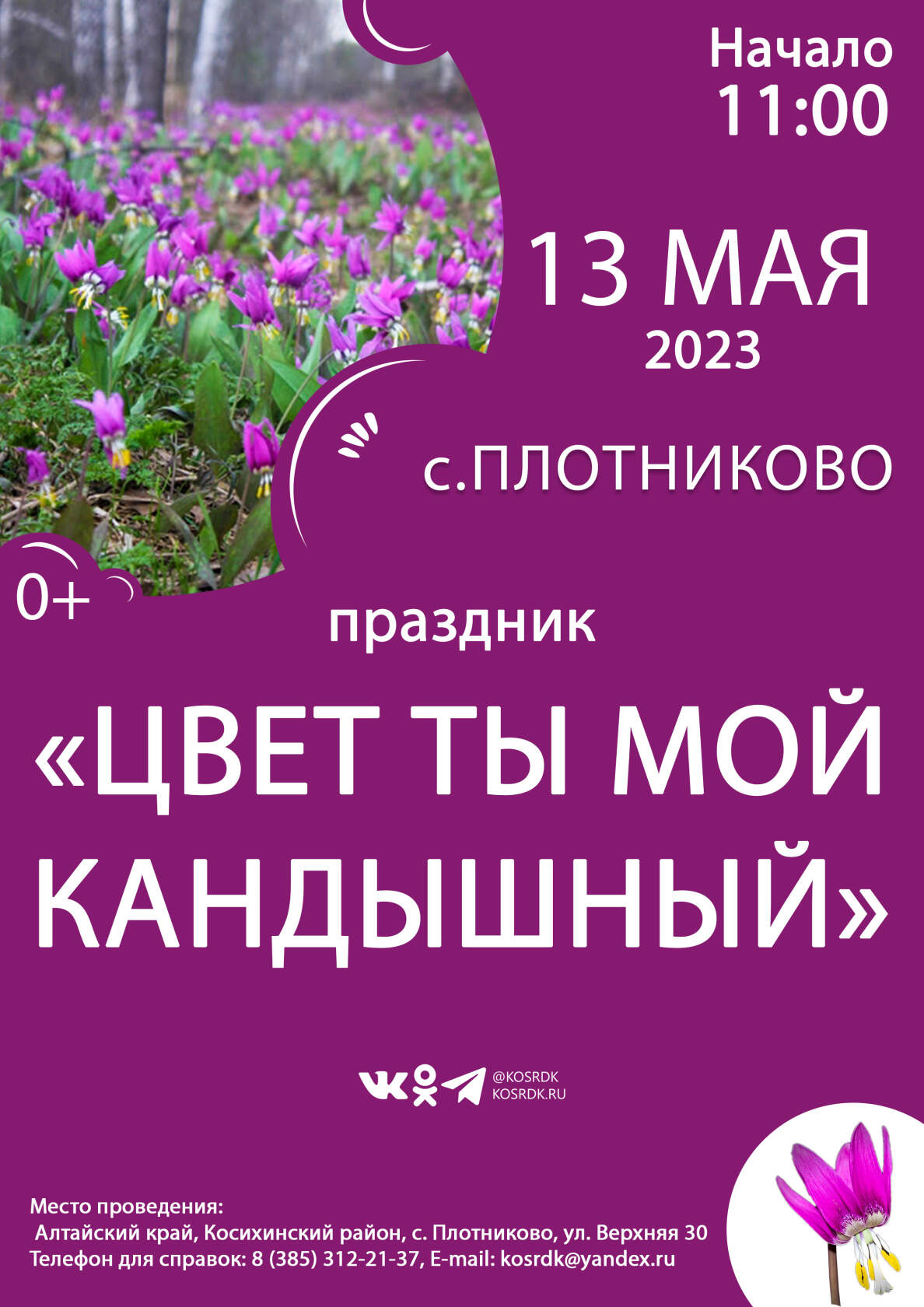 Цветение кандыка.